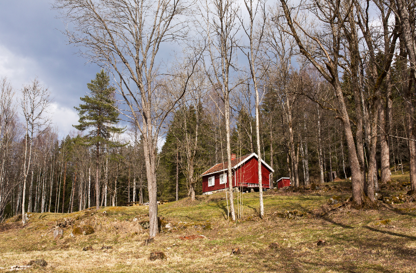 arkitektur hytte stue skog Kapittel_3:_Minihytta_-_arkitektur_og_miljøperspektiv